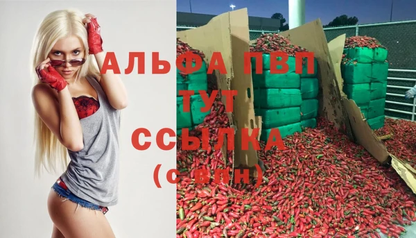 молекула духа Аркадак