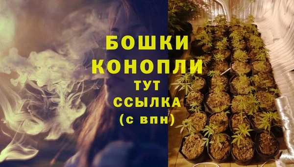 молекула духа Аркадак