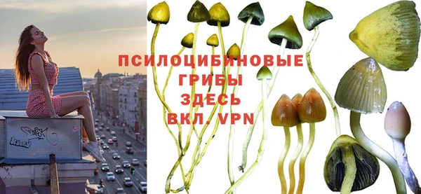 ECSTASY Баксан