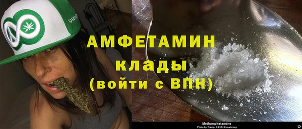 молекула духа Аркадак