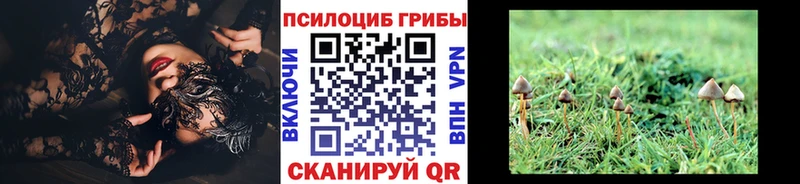 Галлюциногенные грибы прущие грибы  hydra ТОР  Усолье-Сибирское 